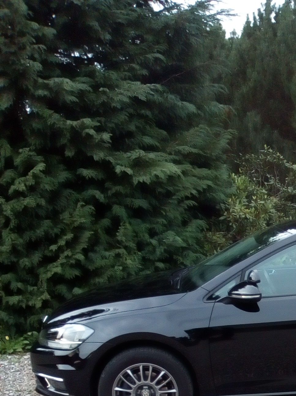 Skolevognen er en Volkswagen Golf VII